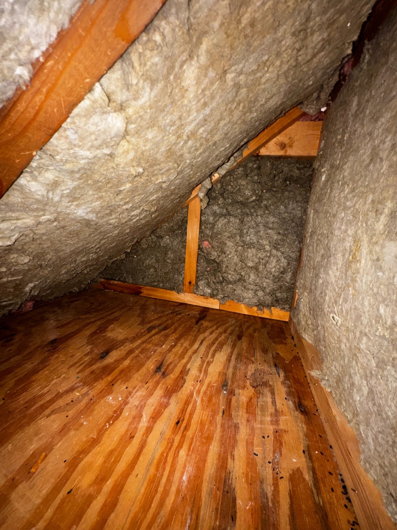 Insulation and water-damage repair